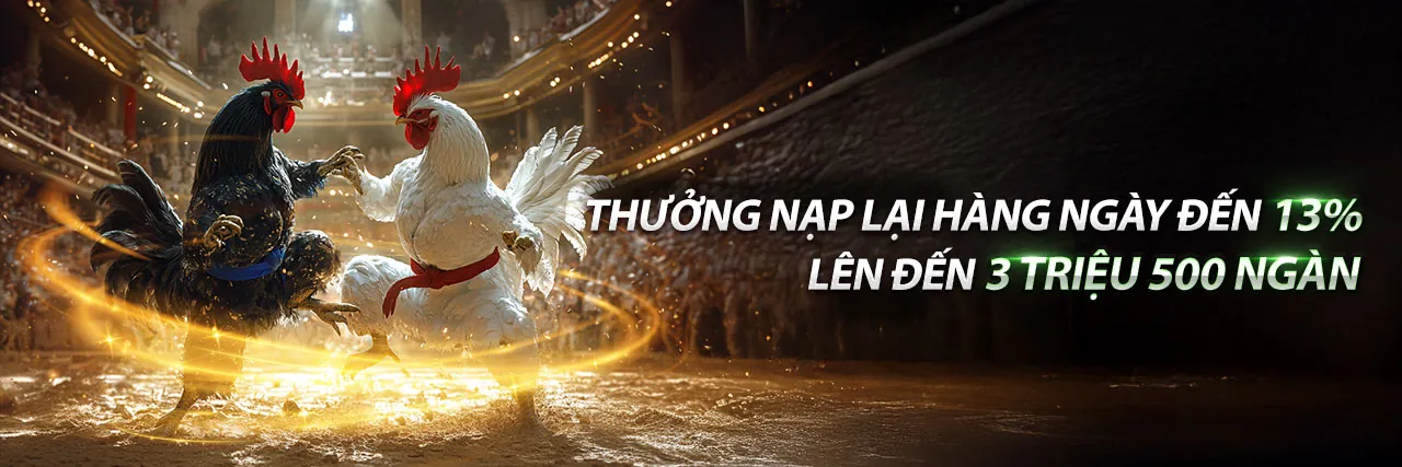 Hình ảnh Điều khoản và Điều kiện của one88 casino